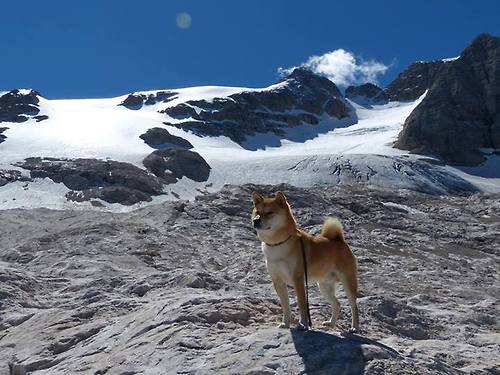 九游娱乐-步行者发布“球迷成长日记”征集令,记录青春与篮球,步行者队球迷