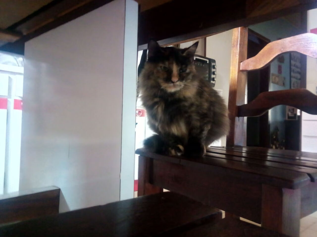 九游娱乐官方网站-英超比赛中关键传球线路与身体对抗强度的分布模式分析,英超传控球队