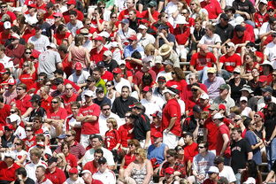 九游体育官网-高校体育赛事观众体验提升策略研究,体育赛事审美体验