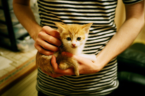 九游体育app-主教练是否应根据比分差调整节奏策略，主教练挑战有什么规定