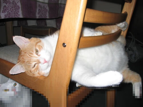 九游网页版-亚洲杯中国女足战胜 球员展现新风貌,中国女足亚洲区预选赛